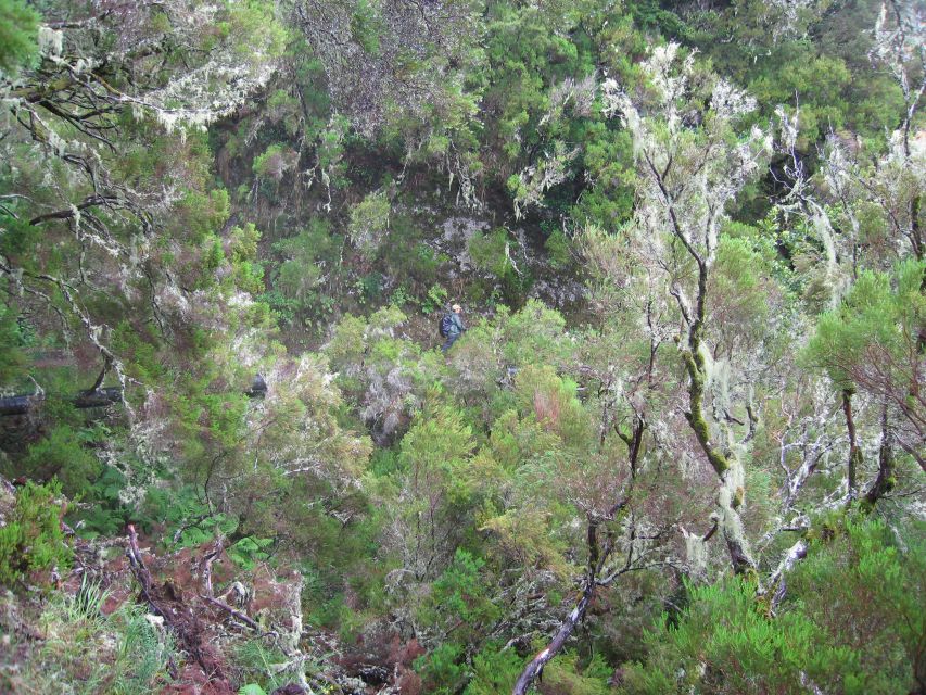 Madeira Walks - Rabaçal and the 25 Fountains - The 800-meter tunnel is a real highlight