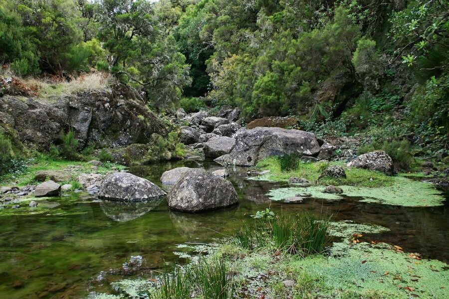 Madeira Walks - Rabaçal and the 25 Fountains - Guides make the difference