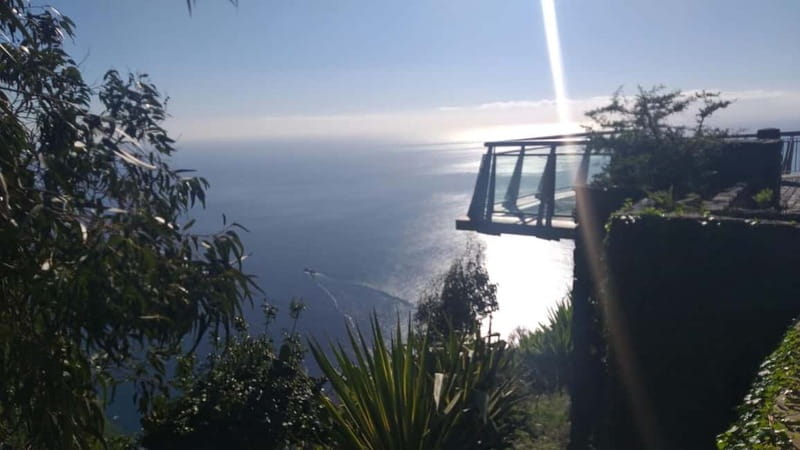 Madeira West Island Full-Day Tour with Fanal Forest - Porto Moniz, lunch and volcanic swimming pools