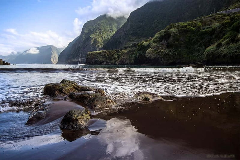 Madeira West Island Full-Day Tour with Fanal Forest - Câmara de Lobos and the Churchill connection