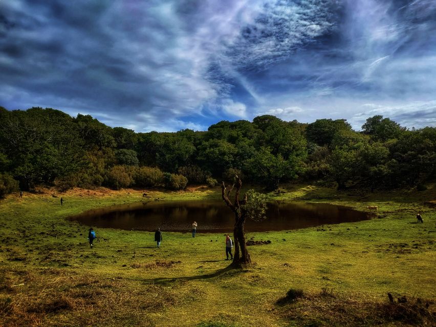 Madeira: Western Madeira Guided Trip & Fanal Mystic Forest - Guides, vehicles, and the value of local help