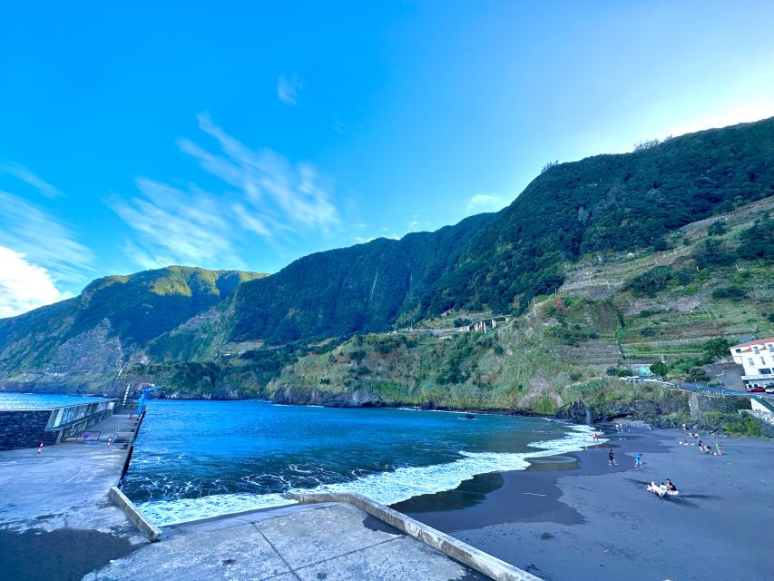 Madeira: Western Madeira Guided Trip & Fanal Mystic Forest - Fanal Forest and the old Laurissilva trees