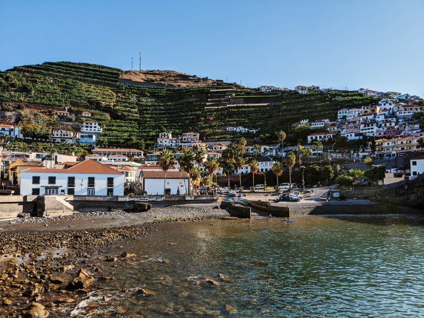 Madeira: Western Madeira Guided Trip & Fanal Mystic Forest - Seixal brings the most dramatic coast