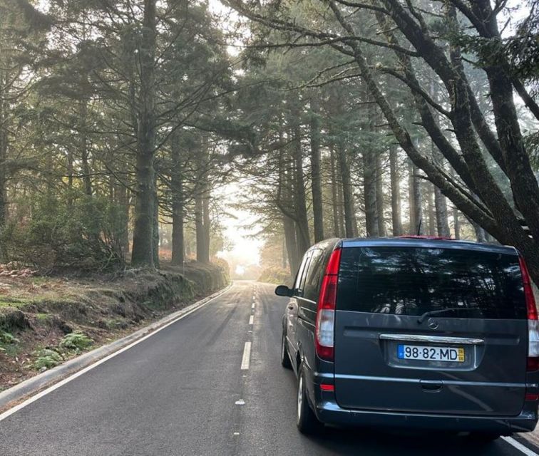 Madeira: Western Madeira Guided Trip & Fanal Mystic Forest - Véu da Noiva is a fitting final view