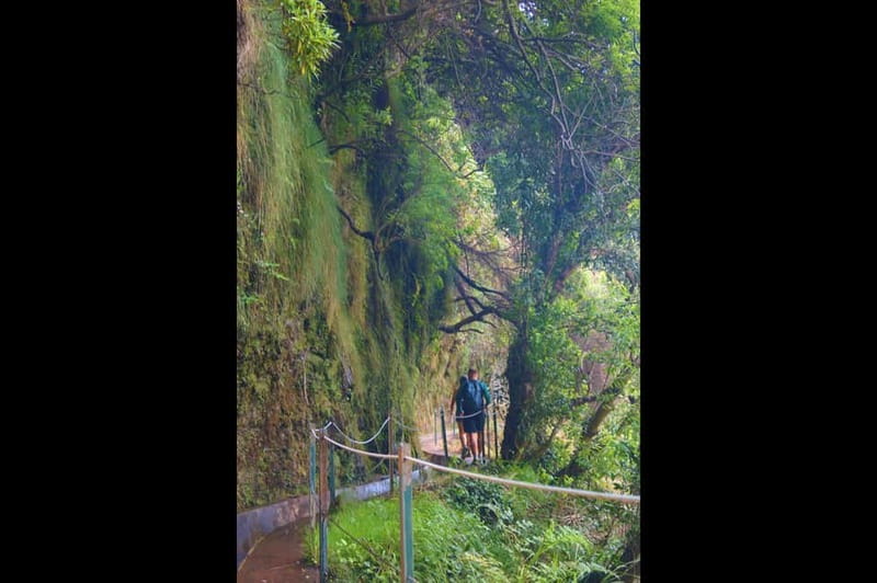 Madeira: Wet your hair in the amazing Levada Nova / Moinhos - Waterfalls, bridges, and the reward of a quiet pace