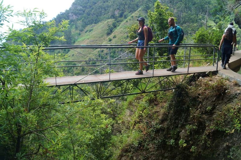 Madeira: Wet your hair in the amazing Levada Nova / Moinhos - Pickup, coffee, and the useful first stop