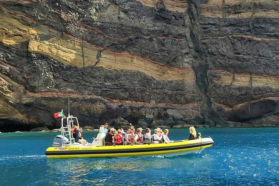 Madeira: Whale and Dolphin Watching Tour - Who should book this boat trip?