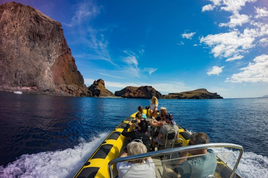 Madeira: Whale and Dolphin Watching Tour - Why Ponta de São Lourenço is the main attraction