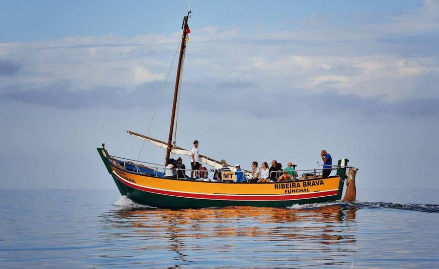 Madeira: Whale Watching Excursion in a Traditional Vessel - Should you book the Ribeira Brava?
