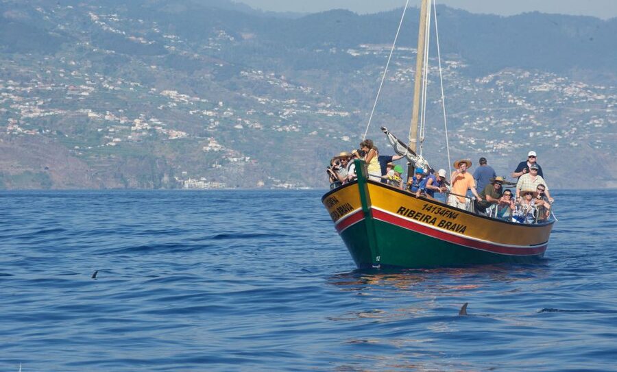 Madeira: Whale Watching Excursion in a Traditional Vessel - Who will enjoy this Madeira boat trip