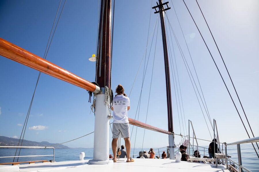 Madeira : Whales and Dolphins wooden boat excursion - Is $41 a fair price?