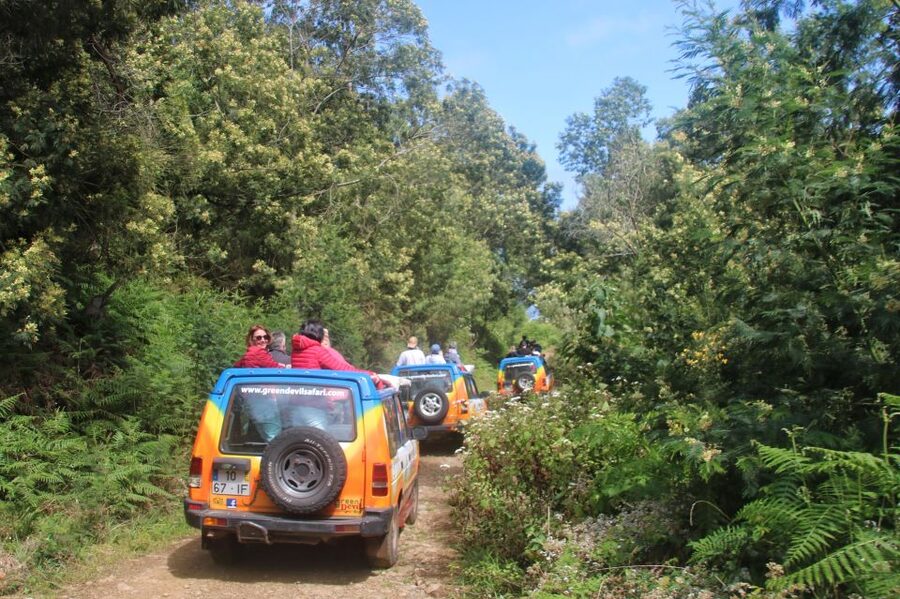 Madeira: Wine & Tapas, Cabo Girão Skywalk 4x4 Jeep Adventure - Quinta do Barbusano Winery and six wines