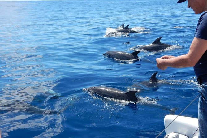 Magic Dolphin Celebrity - A small catamaran makes a big difference