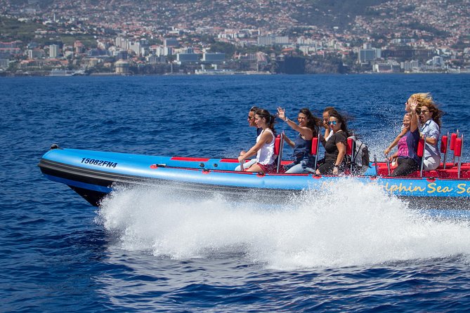 Magic Dolphin Sea Safaris - Leaving Funchal Marina on a purpose-built speedboat