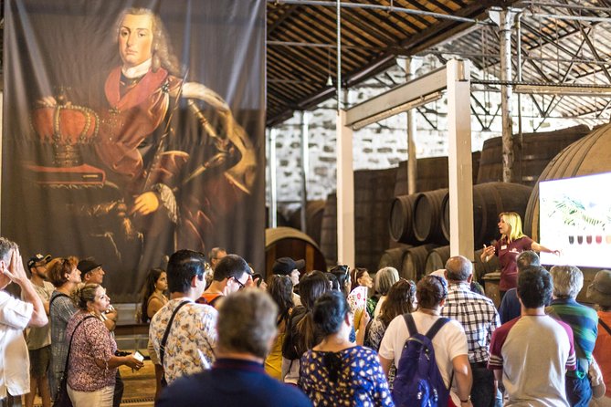 MagicTrain Tour and Port Wine Cellar Visit & Tasting - What the MagicTrain adds to a Porto day