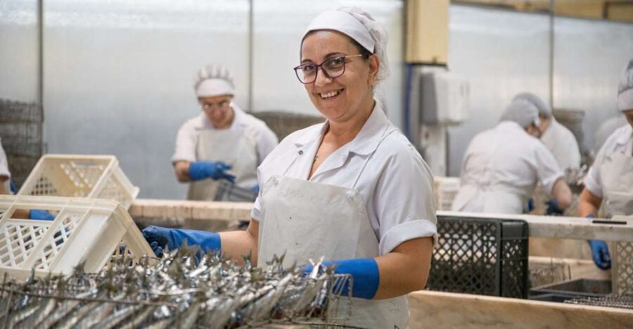 Matosinhos: Conservas Pinhais Factory Tour - Seeing the production floor in plain activity