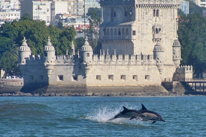 Meet the Lisbon Dolphins - Dolphin Watching in Lisbon - Who will enjoy this trip most?