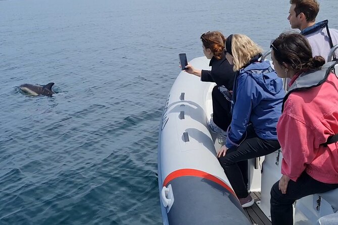 Meet the Lisbon Dolphins - Dolphin Watching in Lisbon - Booking, cancellations, and practical planning