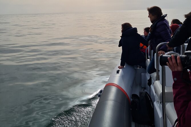 Meet the Lisbon Dolphins - Dolphin Watching in Lisbon - Should you book Meet the Lisbon Dolphins?