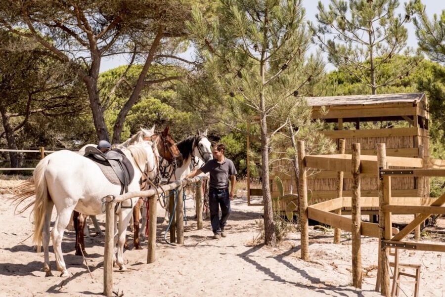 Melides: Horse Riding on the Beach with Wine Tasting - Key points to know before booking