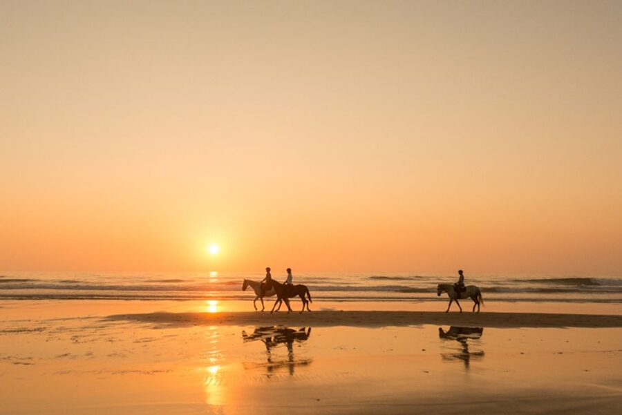 Melides: Horse Riding on the Beach with Wine Tasting - Crossing the dunes toward the Atlantic
