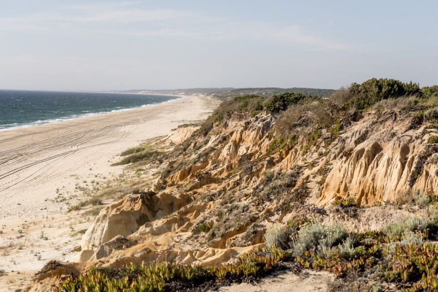 Melides: Horse Riding on the Beach with Wine Tasting - Who will enjoy this ride most