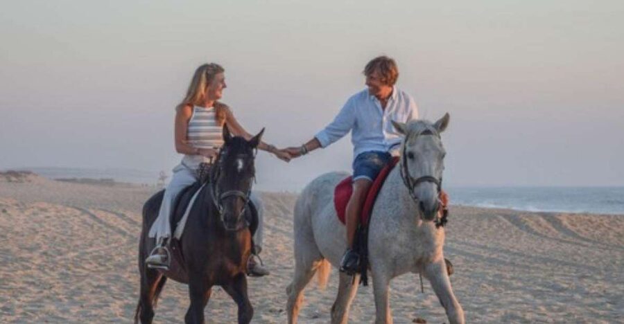 Melides: Horseback Riding on Melides Beach - Key Points Before You Book