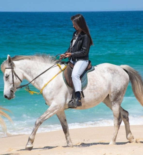 Melides: Horseback Riding on Melides Beach - Photos, Weather, and the Things That Can Change