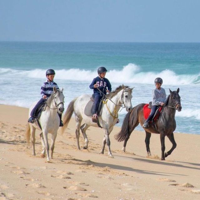 Melides: Horseback Riding on Melides Beach - Is $76 Good Value?