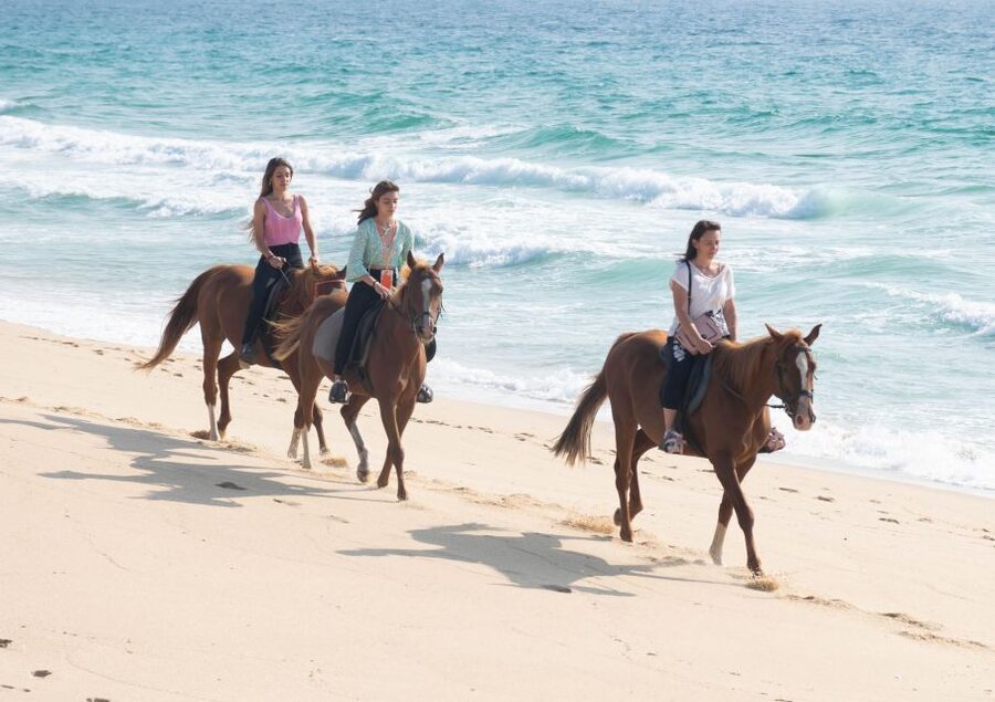Melides: Horseback Riding on Melides Beach - Who Should Book This Ride?
