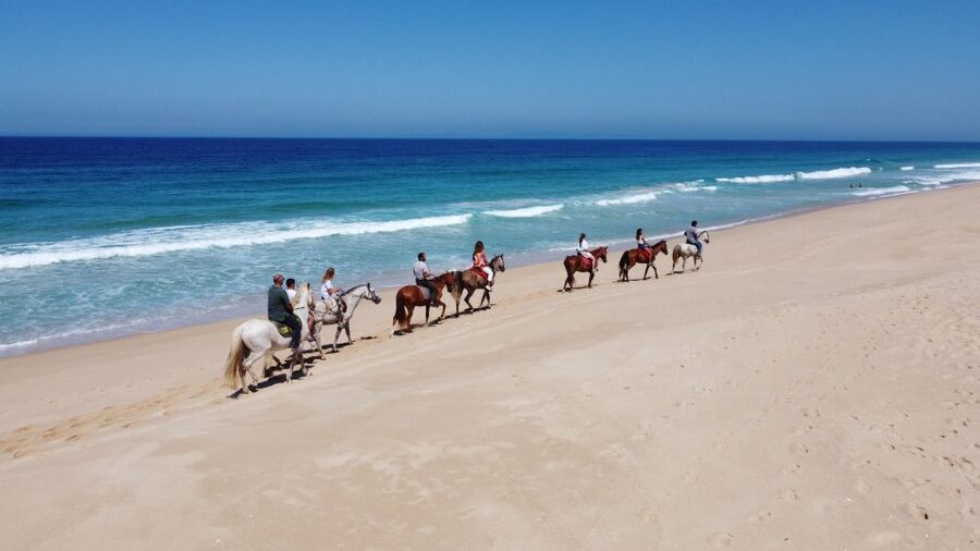 Melides: Horseback Riding on Melides Beach - Calm Horses and Careful Matching