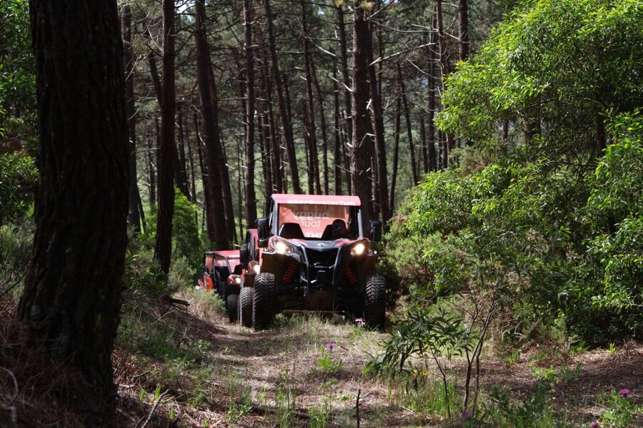 Nazaré: 4x4 Buggy Tour with Guide - Price, timing, and what you receive
