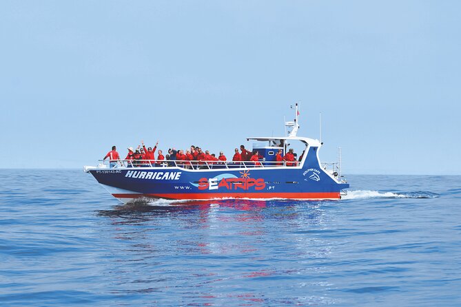 NEW Lagos-Watching Dolphins and Benagil Cave with Biologists - Key points to know before booking