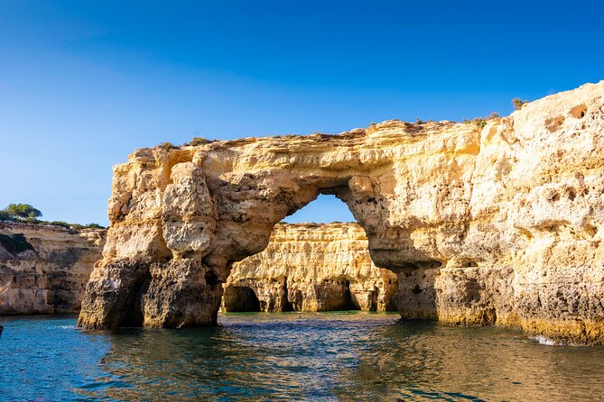 NEW Lagos-Watching Dolphins and Benagil Cave with Biologists - How much value do you get for $72.59?