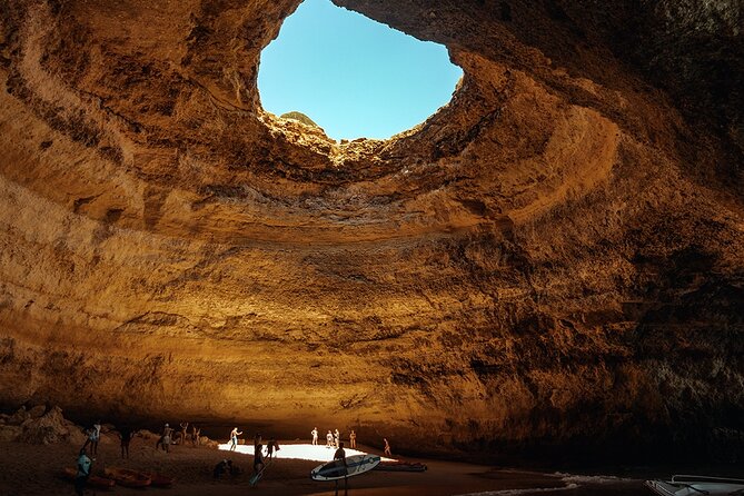 NEW Lagos-Watching Dolphins and Benagil Cave with Biologists - Is it suitable for families?