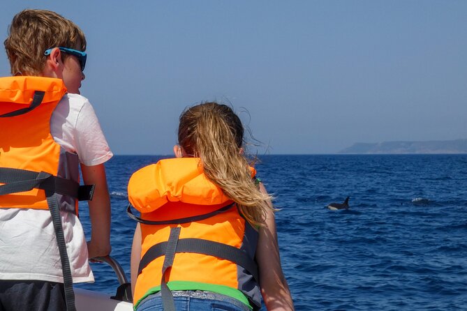 Observation of Dolphins and Whales with Marine Biologist in Arrábida - Should You Book the Arrábida Dolphin Trip?