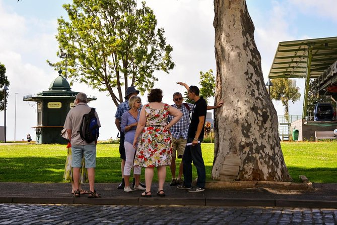 Old Funchal Walking Tour - Starting at the Jesuit College