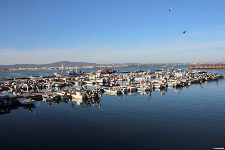 Olhão: 3 Islands Guided Sightseeing Tour with Lunch - What to bring and how to prepare