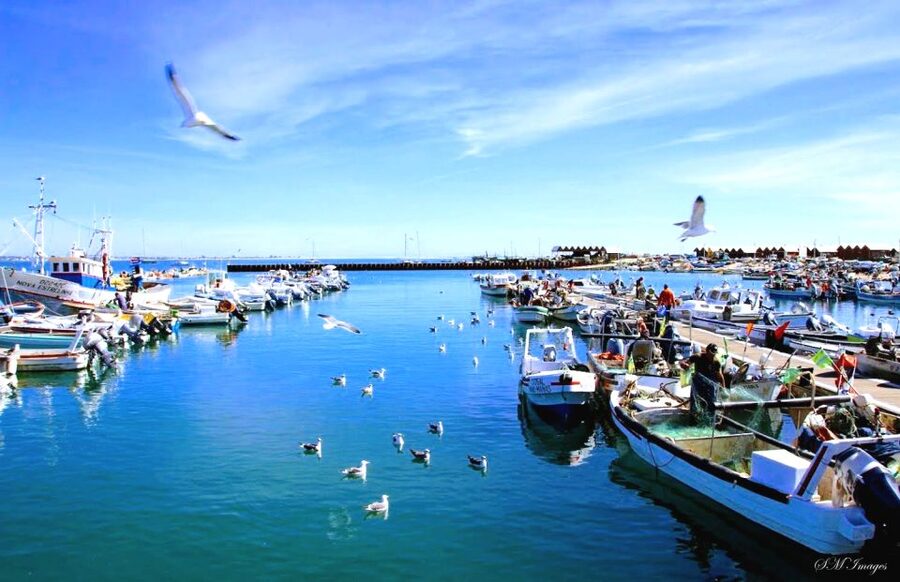 Olhão: Ria Formosa 3 Islands Guided Day Trip by Boat - Wildlife, weather, and the value of a flexible route