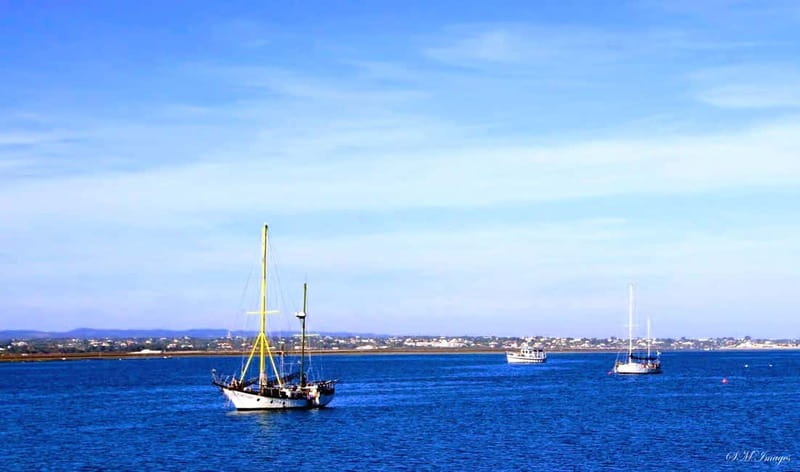 Olhão: Ria Formosa 3 Islands Guided Day Trip by Boat - Who will get the most from this boat trip