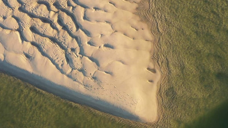 Olhão: Ria Formosa National Park Boat Cruise - Should you book the Ria Formosa cruise?