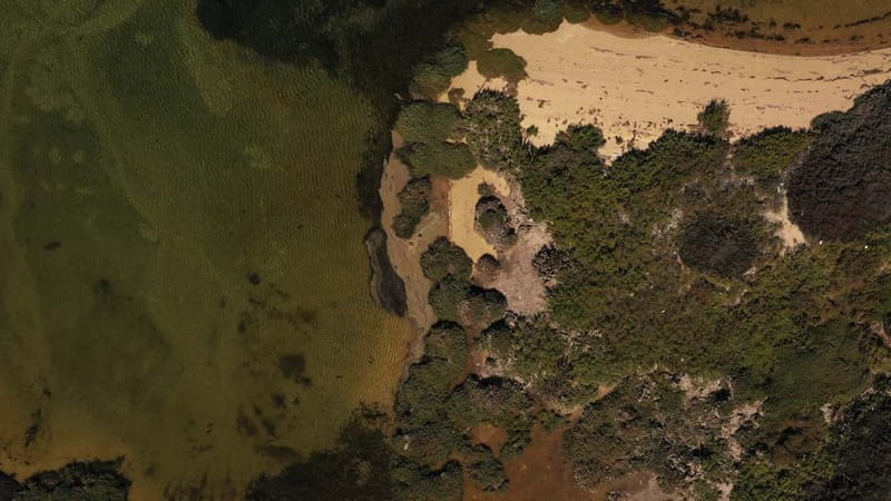 Olhão: Ria Formosa National Park Boat Cruise - Shared boat or private cruise?