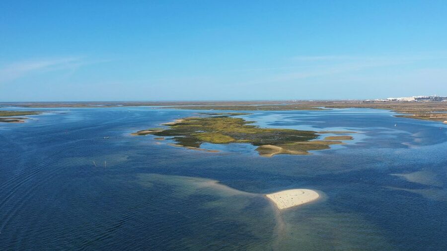 Olhão: Ria Formosa National Park Boat Cruise - Who will enjoy this Olhão boat trip?