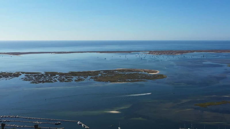 Olhão: Ria Formosa National Park Boat Cruise - Cruising between the islands and Culatra