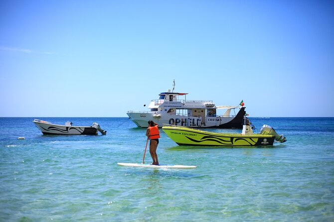 Ophelia Catamaran Cruises + Beach BBQ - What the Ophelia cruise actually feels like