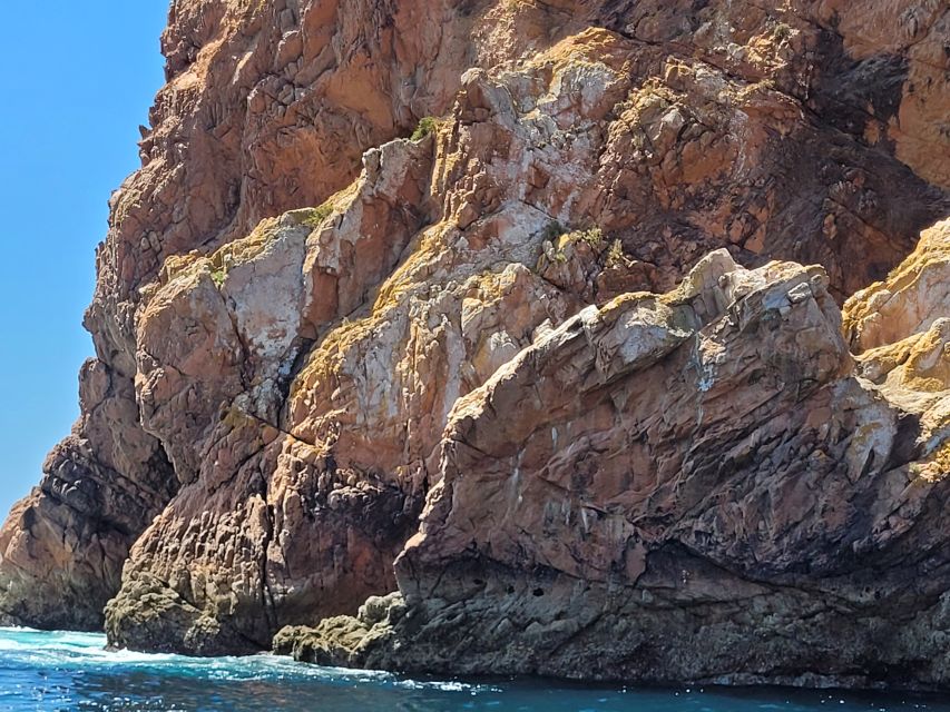 Peniche: Berlengas Island Round-Trip Ferry with Island Stop - Who will enjoy this island trip?