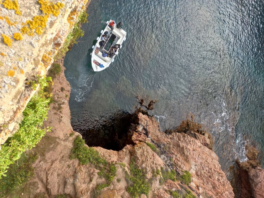 Peniche: Berlengas Island Round-Trip Ferry with Island Stop - Walking to São João Baptista Fort