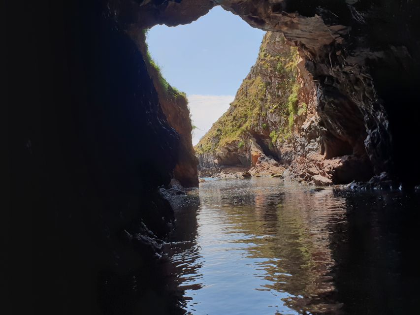 Peniche: Berlengas Roundtrip and Glass-Bottom Boat Cave Tour - Two hours on foot around the island