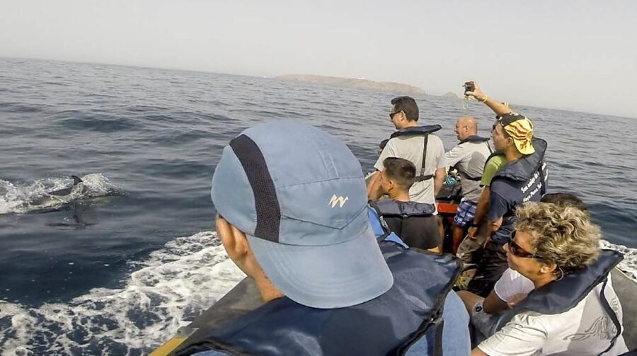 Peniche: Dolphin Route Boat Trip - How to prepare for the boat