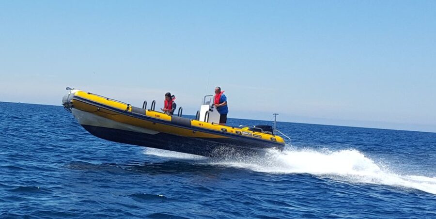 Peniche: Dolphin Route Boat Trip - Who will enjoy this dolphin route most?